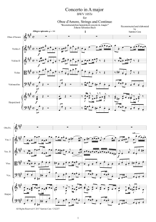 Oboe Concertos Score