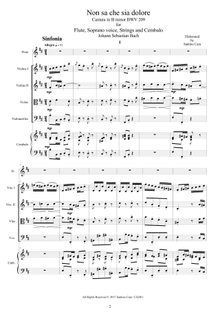 Non sa che sia dolore BWV209 score for chamber orchestra