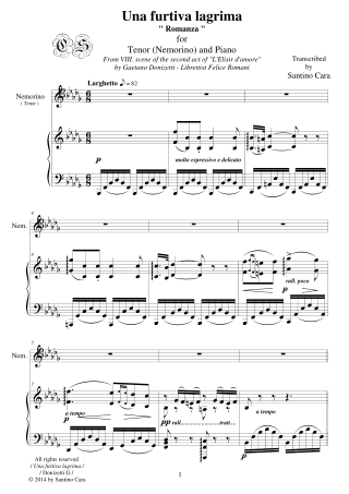 Score Donizetti Una Furtiva Lagrima