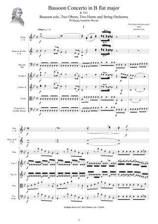 Score Bassoon and Orchestra K191